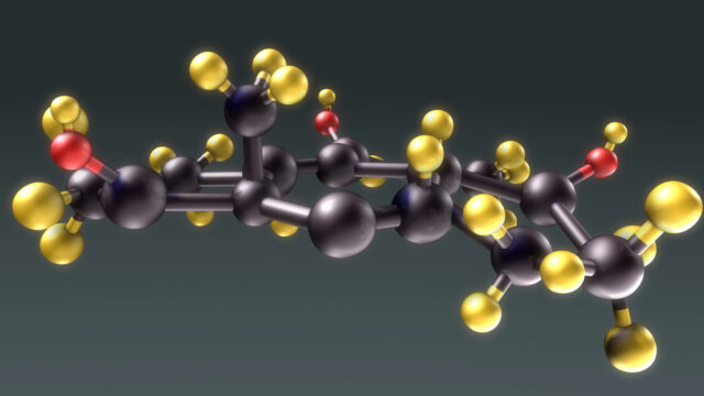 Fat Burning Is Not the Same as Fat Loss The Physiology Trick Hiding Inside Every Fat Burning Peptide Pitch